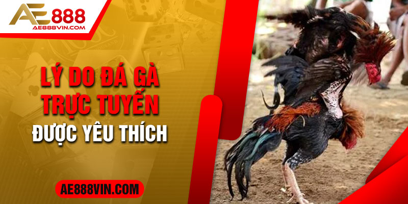 Ưu điểm khi tham gia trang cá cược đá gà trực tuyến