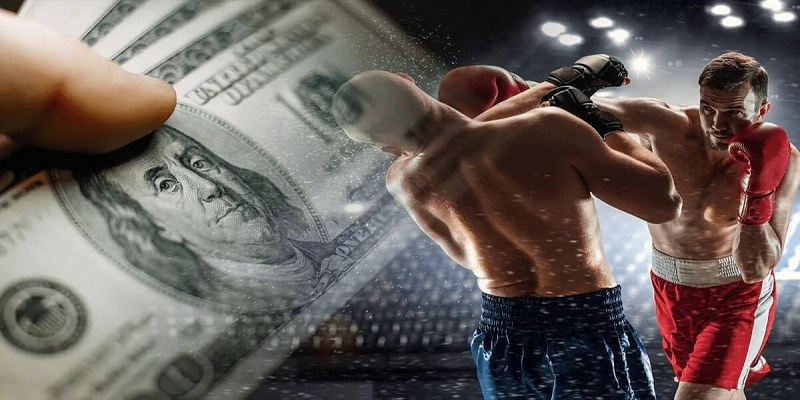 Giới thiệu về cá cược Boxing SIN88